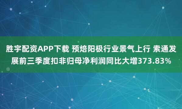 胜宇配资APP下载 预焙阳极行业景气上行 索通发展前三季度扣非归母净利润同比大增373.83%